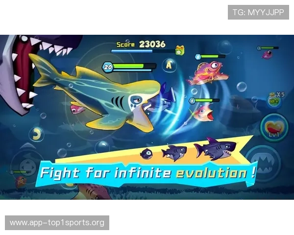 博鱼官网在线登录流程详解及常见问题解决方案助你轻松畅玩游戏世界